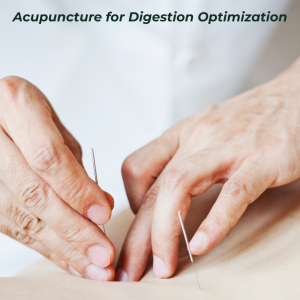 Acupuncture for Digestion Optimization